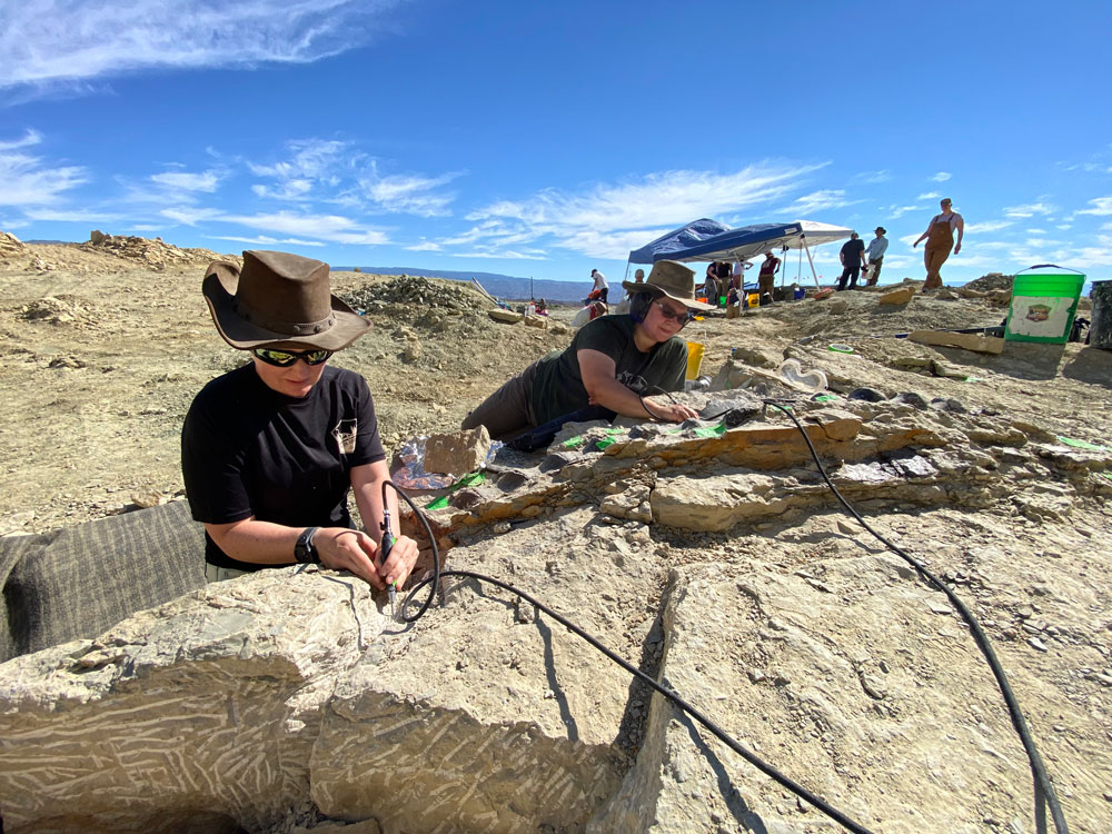 Dig team working at the Jurassic Mile dinosaur dig site in Wyoming.